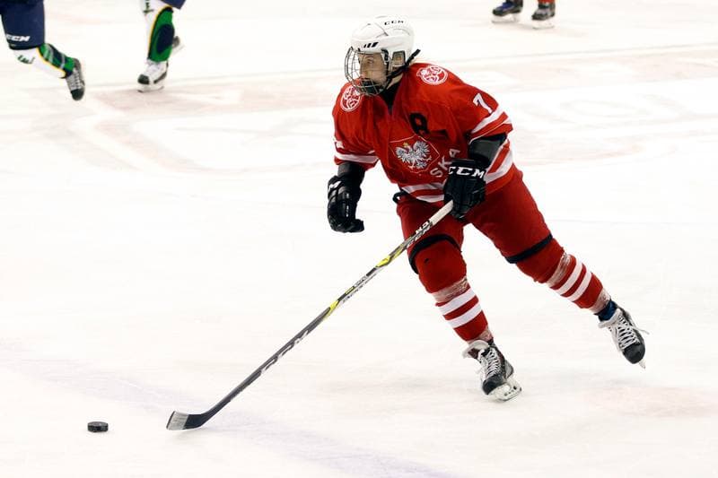 Ice Hockey. Women's Friendly Match. Poland - Ontario. 04.04.2017