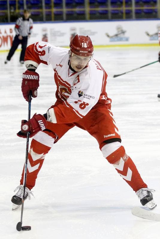Ice Hockey. International Friendly Match. Poland - Slovakia B. 07.04.2017