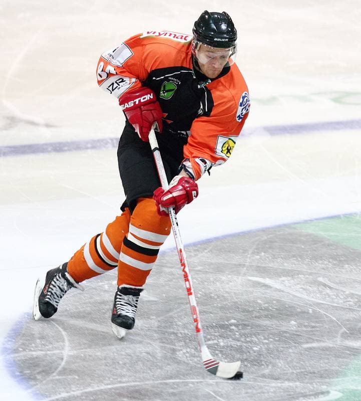 Ice Hockey. Polska Hokej Liga. Polonia Bytom - JKH GKS Jastrzebie. 31.01.2014