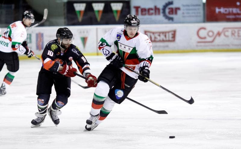 Ice Hockey. Polska Hokej Liga. GKS Tychy - Ciarko KH Sanok. 23.01.2015