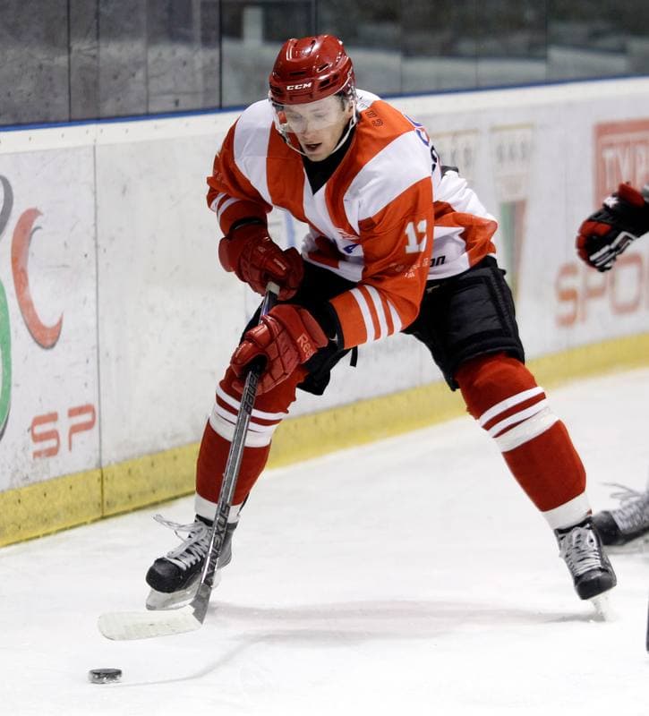 Ice Hockey. Polska Hokej Liga. GKS Tychy - Comarch Cracovia Krakow. 19.01.2014