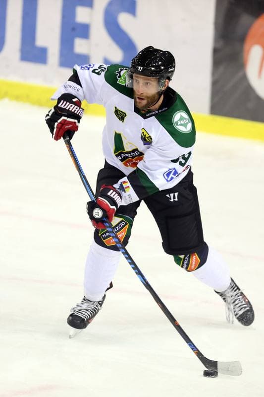 Ice Hockey. Tauron Hokej Liga. Naprzod Janow - Tauron KH GKS Katowice. 24.09.2017