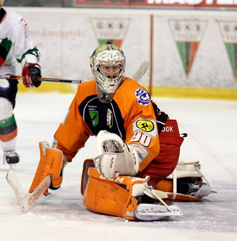 Ice Hockey. Polska Hokej Liga. GKS Tychy - JKH GKS Jastrzebie. 30.11.2014