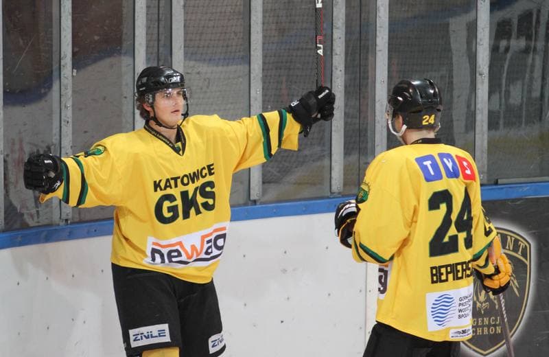 Ice Hockey. Polska Hokej Liga. HC GKS Katowice - Podhale Nowy Targ. 25.02.2014