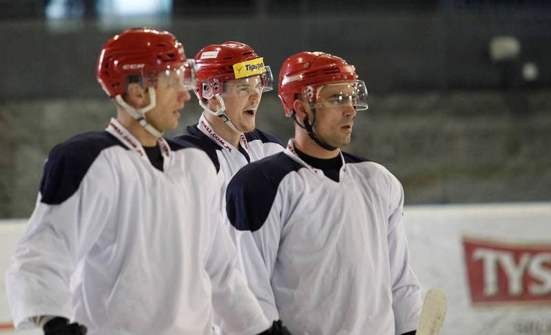 Ice Hockey. Poland national team. Training. 14.04.2025