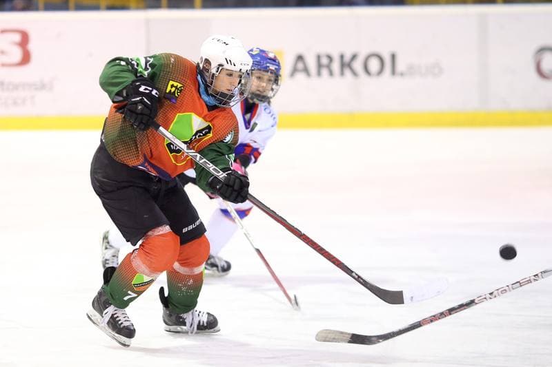 Ice Hockey. PLHK. Polonia Bytom - Naprzod Janow. 03.03.2018