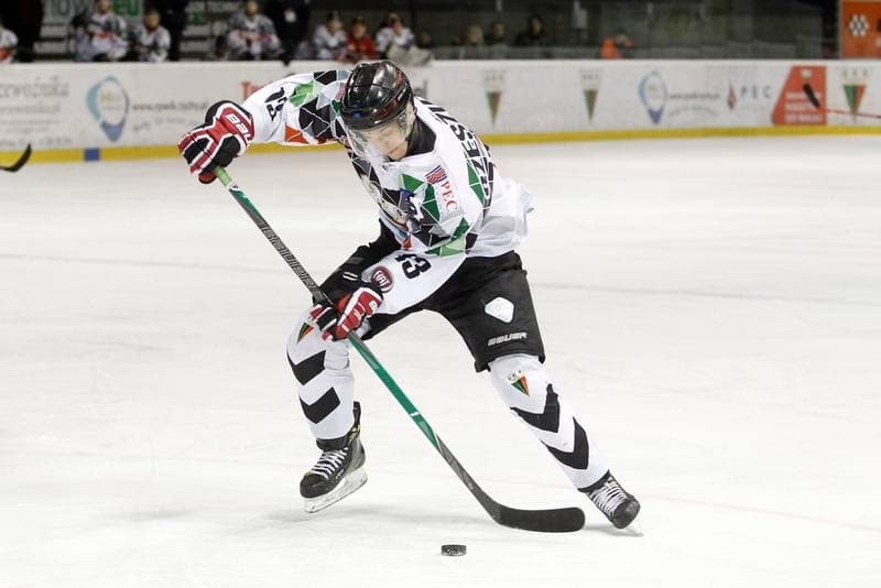 Ice Hockey. Polska Hokej Liga. GKS Tychy - TatrySki Podhale Nowy Targ. 18.03.2018