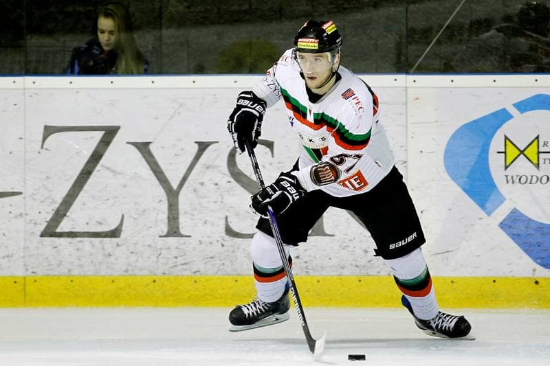 Ice Hockey. Polska Hokej Liga. GKS Tychy - Ciarko STS Sanok. 15.01.2016