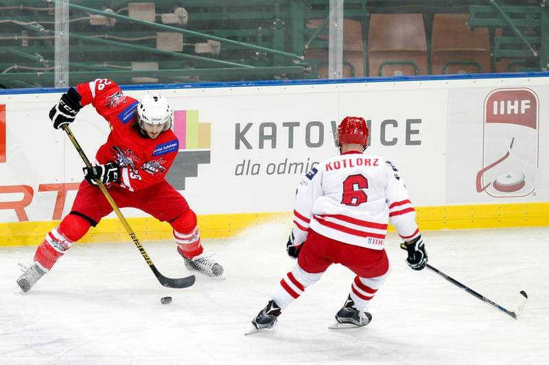 Ice Hockey. Friendly Match. Poland - Stars of PHL. 06.02.2016