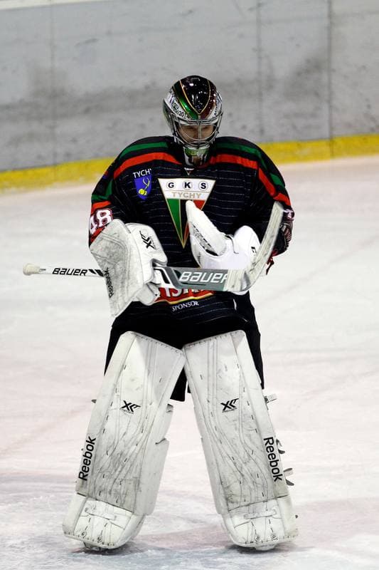 Ice Hockey. Polska Hokej Liga. Polonia Bytom - GKS Tychy. 23.02.2016