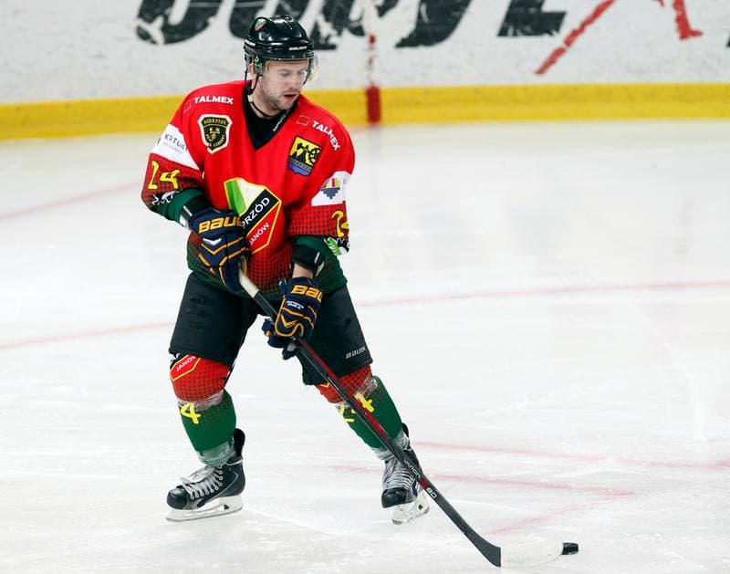 Ice Hockey. Polska Hokej Liga. HC GKS Katowice - Naprzod Janow. 05.12.2014
