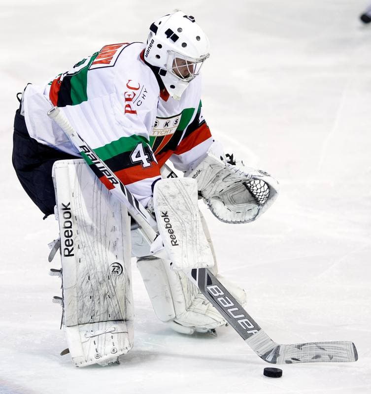 Ice Hockey. Polska Hokej Liga. GKS Tychy - Ciarko KH Sanok. 23.01.2015