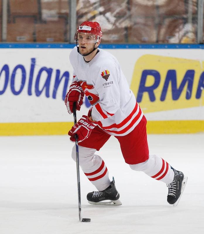 Ice Hockey. Poland national team. Training. 13.04.2016