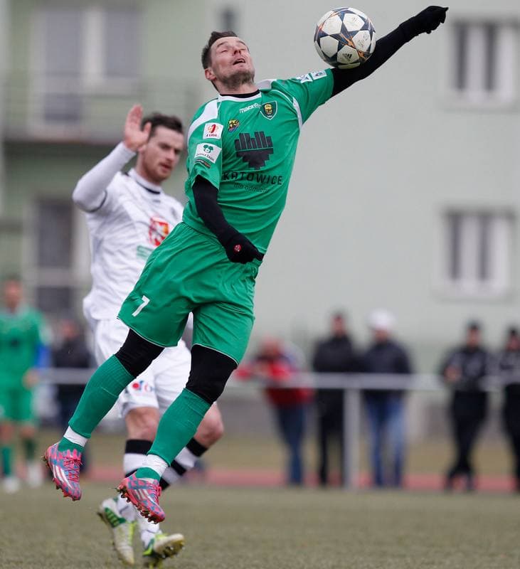Football. Friendly Match. FC Hradec Kralove - GKS Katowice. 14.02.2015