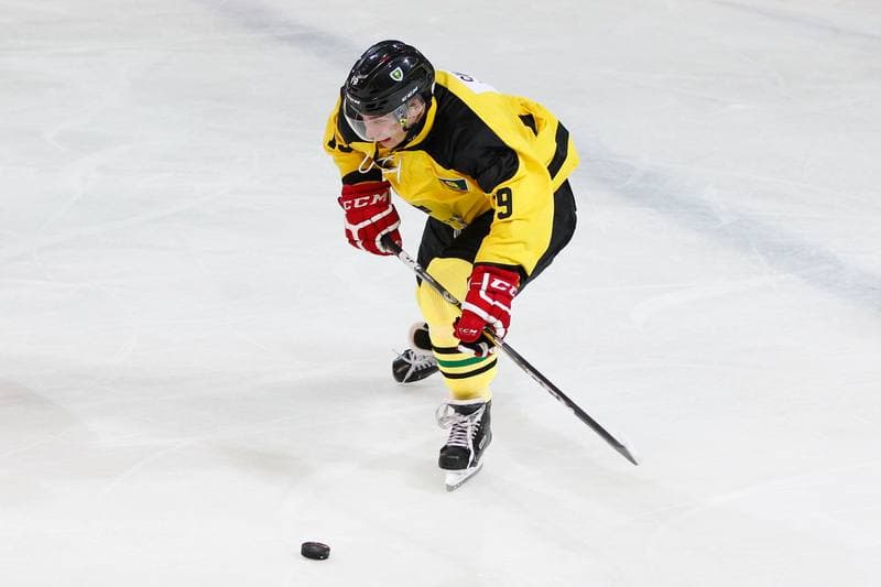 Ice Hockey. Polska Hokej Liga. GKS Katowice - Polonia Bytom. 18.10.2016