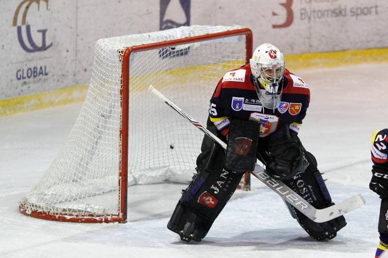 Ice Hockey. Polska Hokej Liga. Polonia Bytom - Podhale Nowy Targ. 13.11.2016