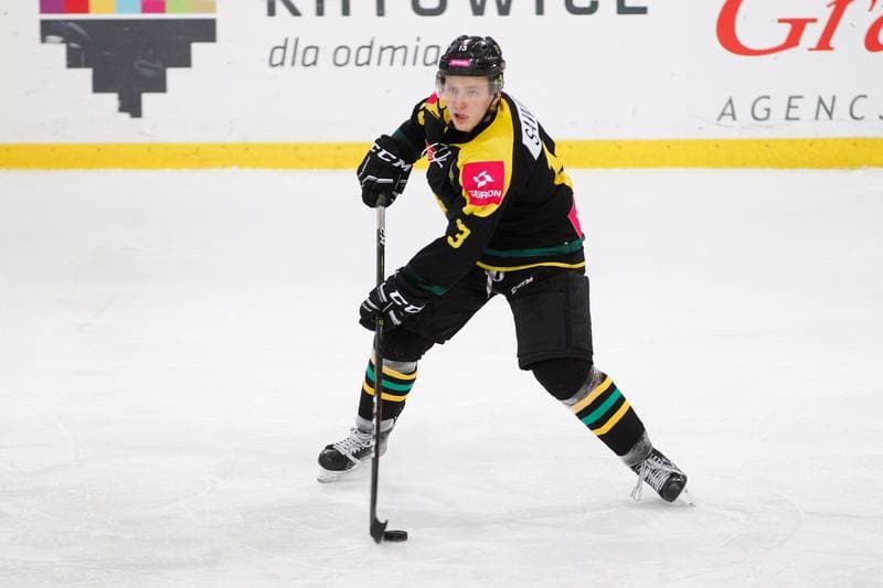 Ice Hockey. Tauron Hokej Liga. GKS Katowice - SMS PZHL Sosnowiec. 27.11.2016
