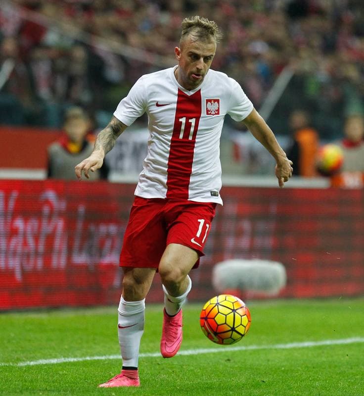 Football. International Friendly. Poland - Iceland. 13.11.2015