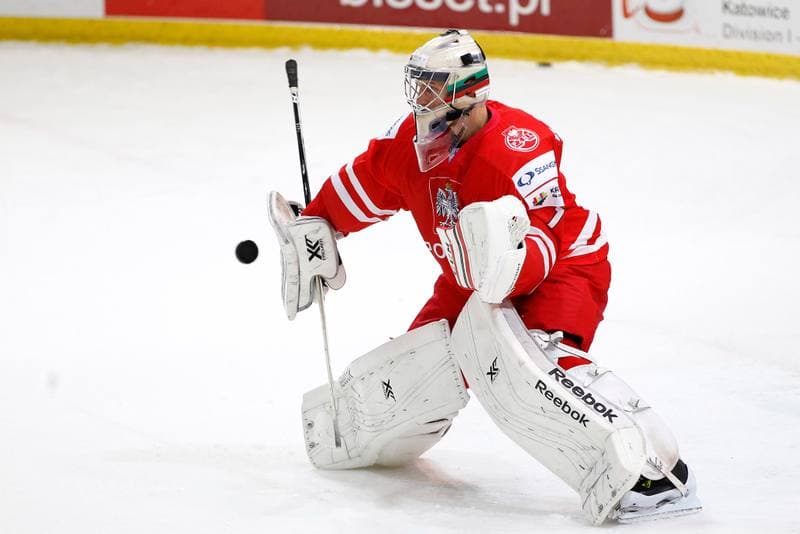 Ice Hockey. EIHC. Kazakhstan - France. 17.12.2015