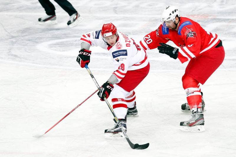 Ice Hockey. Friendly Match. Poland - Stars of PHL. 06.02.2016