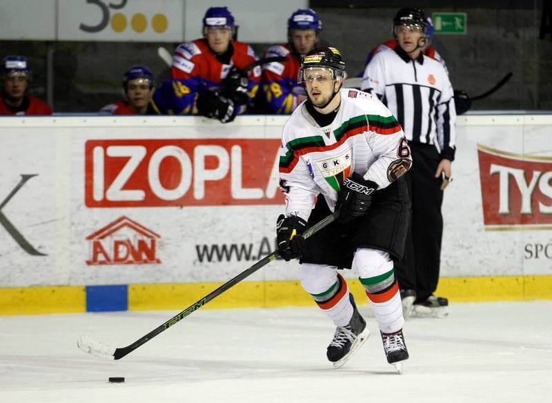Ice Hockey. Polska Hokej Liga. GKS Tychy - Tatryski Podhale Nowy Targ. 29.02.2016
