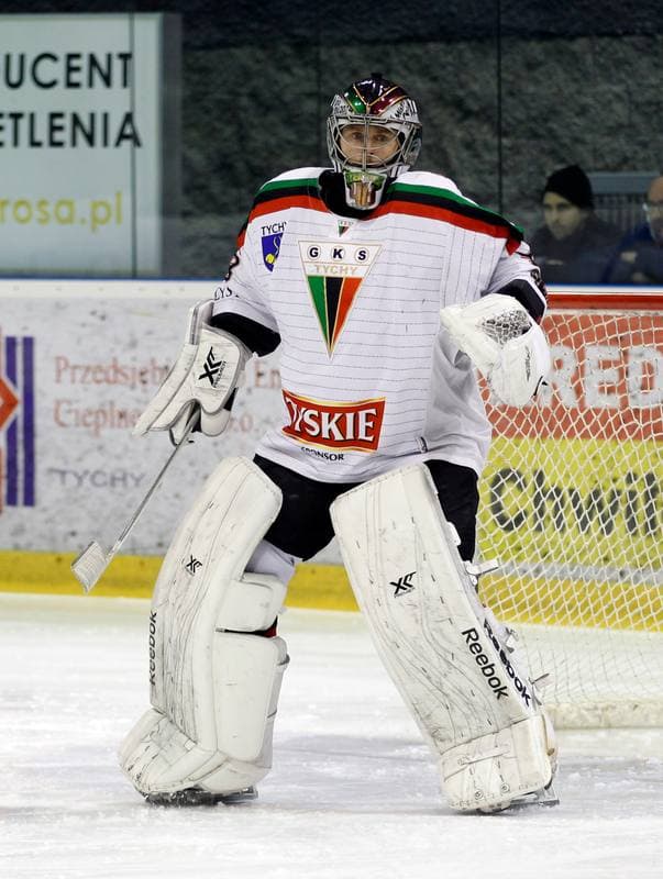 Ice Hockey. Polish Hockey League. GKS Tychy - Comarch Cracovia. 24.03.2016