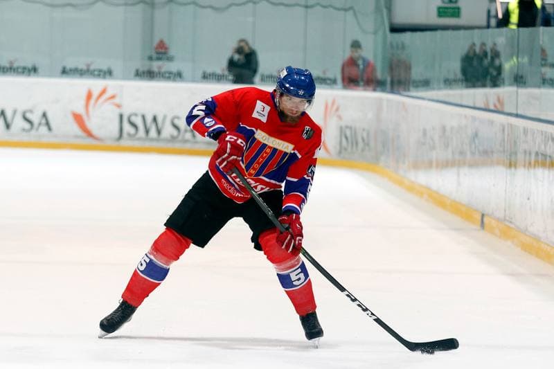 Ice Hockey. Polska Hokej Liga. JKH GKS Jastrzebie - Tempish Polonia Bytom. 05.02.2017