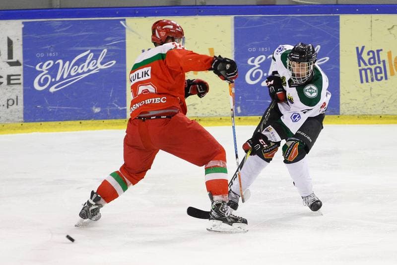Ice Hockey. I Liga. Naprzod Janow - Zaglebie Sosnowiec. 12.03.2017