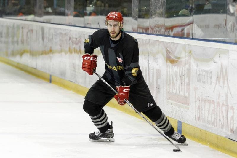 Ice Hockey. Polska Hokej Liga. GKS Tychy - Comarch Cracovia. 02.04.2017