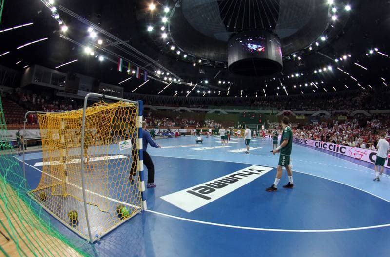 Handball. World Championship Qualifiers. Poland - Lithuania. 17.06.2012