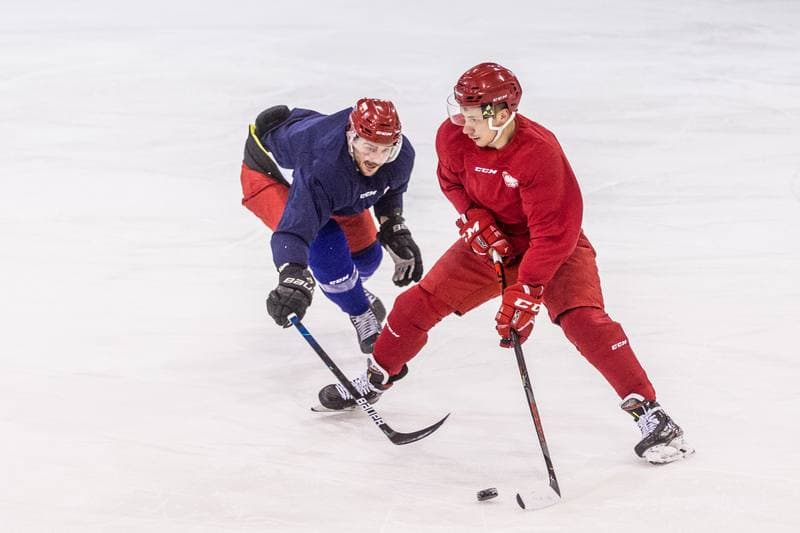 Ice Hockey. Poland national team. Training. 14.12.2020