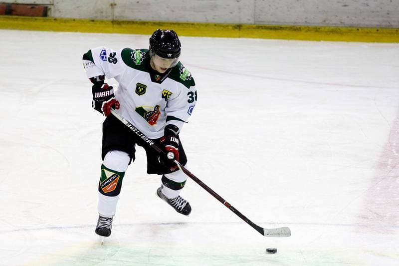 Ice Hockey. PHL. Anteo Naprzod Janow - TatrySki Podhale Nowy Targ. 04.02.2018