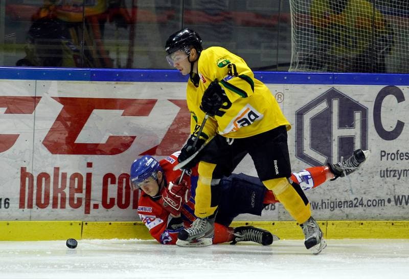 Ice Hockey. Polska Hokej Liga. HC GKS Katowice - Polonia Bytom. 26.01.2014