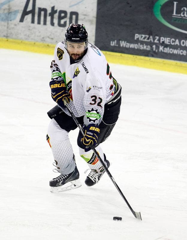 Ice Hockey. Polska Hokej Liga. Naprzod Janow - Ciarko KH Sanok. 18.01.2015