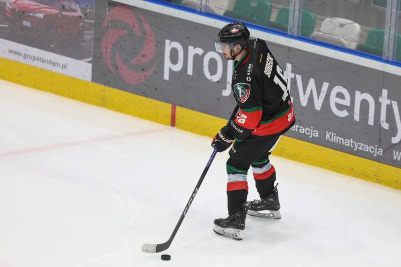 Ice Hockey. Tauron Hokej Liga. Zaglebie Sosnowiec - GKS Tychy. 27.02.2024