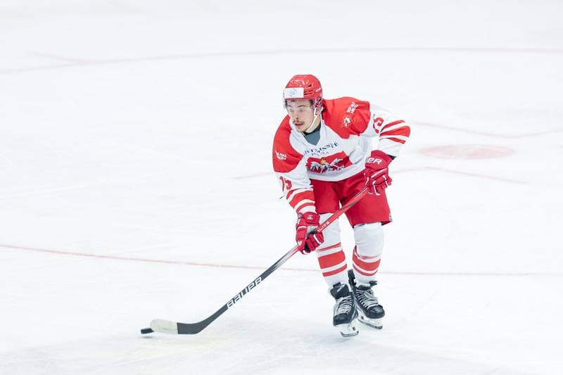 Ice Hockey. Friendly Match. Poland - Hungary. 12.04.2024