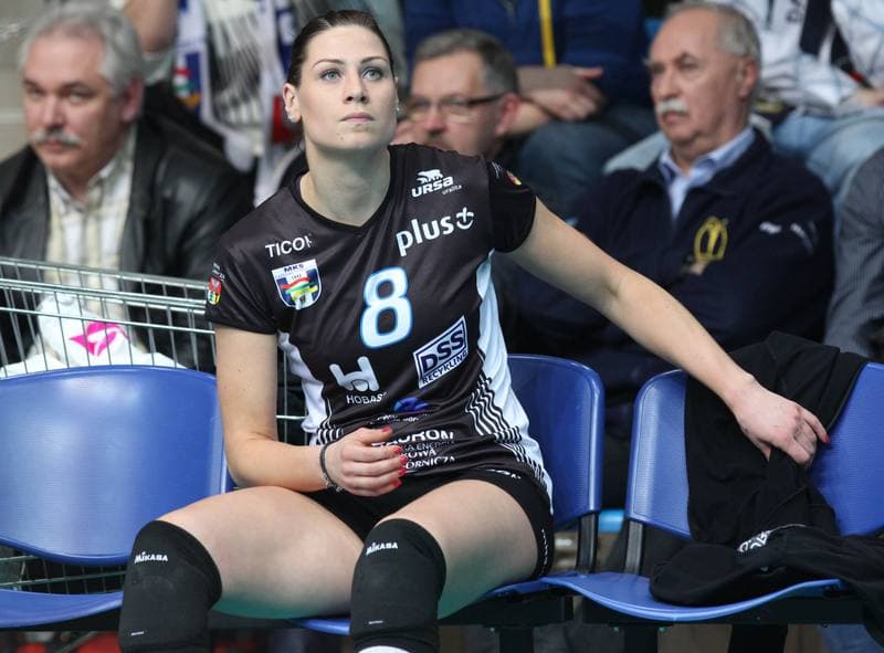 Volleyball. Tauron PLSK. Tauron MKS Dabrowa Gornicza - Atom Trefl Sopot. 04.03.2012