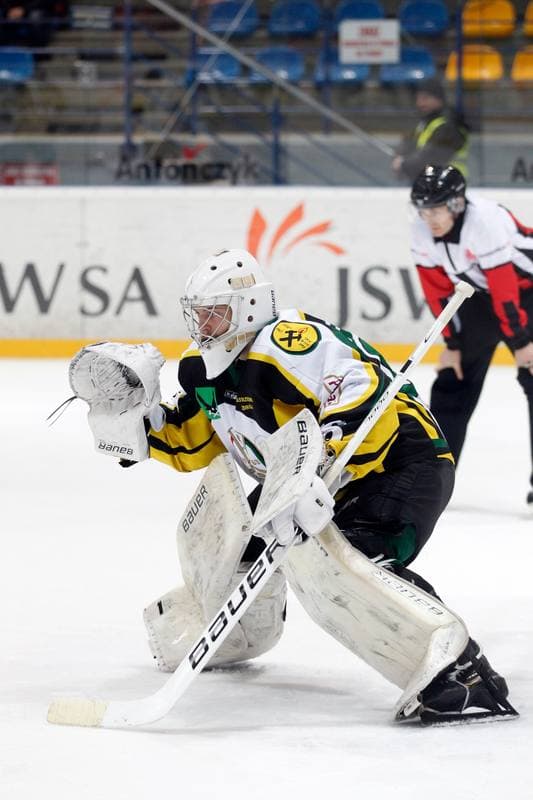 Ice Hockey. Polska Hokej Liga. JKH GKS Jastrzebie - Tempish Polonia Bytom. 05.02.2017