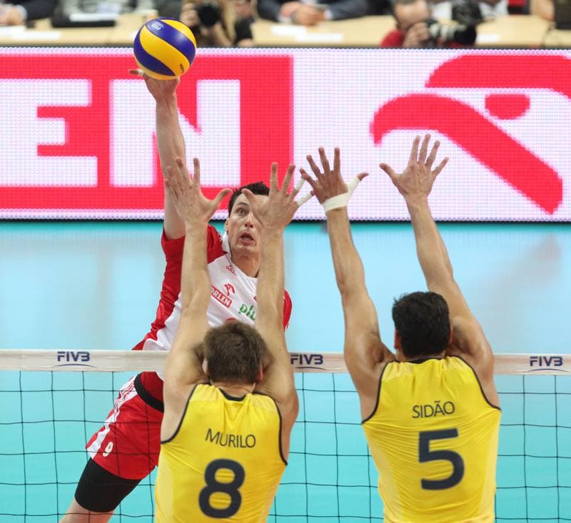 Volleyball. World League. Poland - Brazil. 03.06.2012
