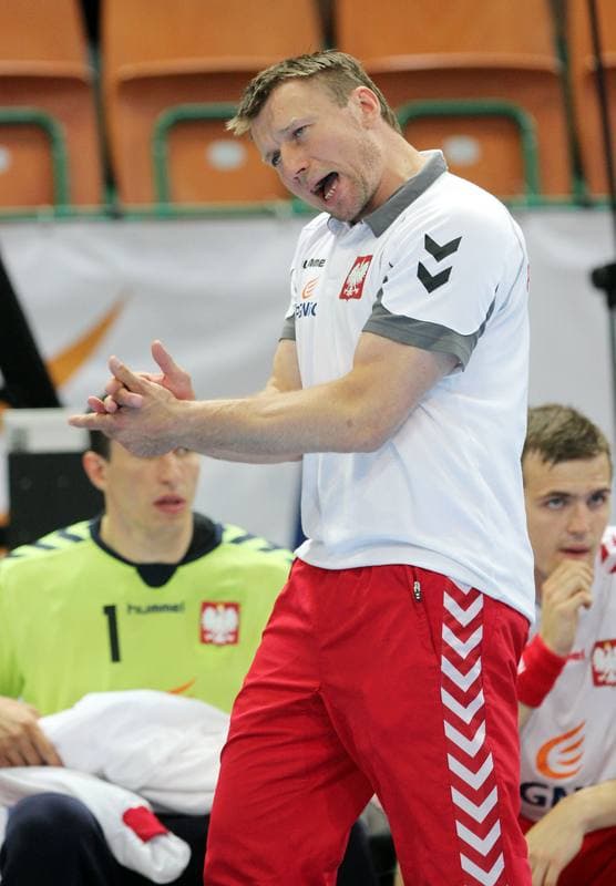 Handball. World Championship Qualifiers. Poland - Lithuania. 17.06.2012