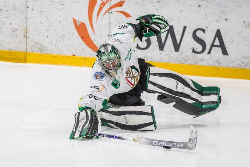 Ice Hockey. PHL. JKH GKS Jastrzebie - Comarch Cracovia. 23.02.2020