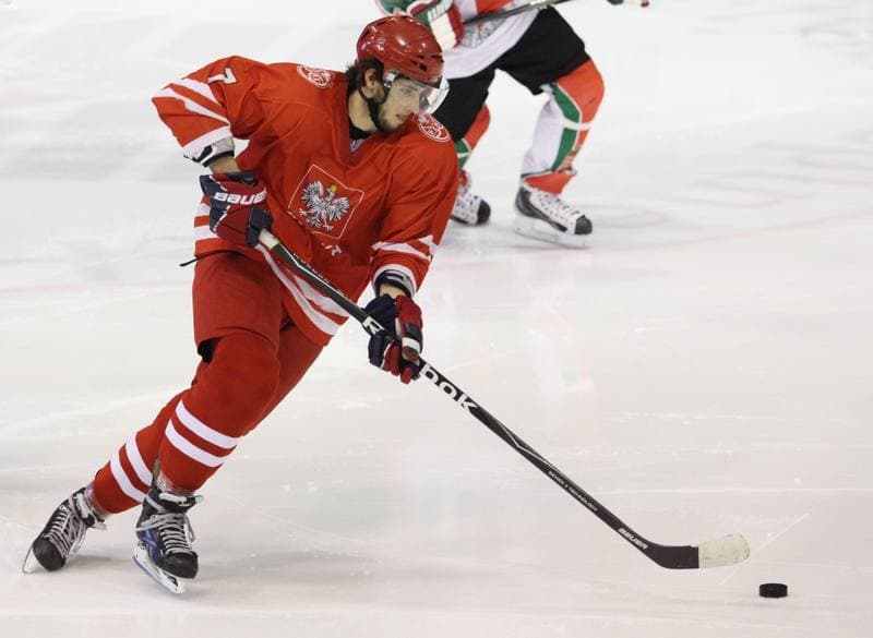 Ice Hockey. Euro Ice Hockey Challenge. Poland - Romania. 08.02.2013