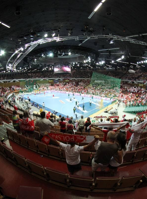 Handball. World Championship Qualifiers. Poland - Lithuania. 17.06.2012