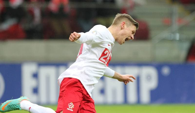 Football. FIFA World Cup Qualifiers. Poland - Ukraine. 22.03.2013