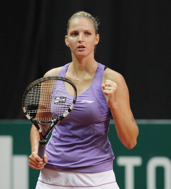 Tennis. WTA. Katowice BNP Paribas Open. 10.04.2013