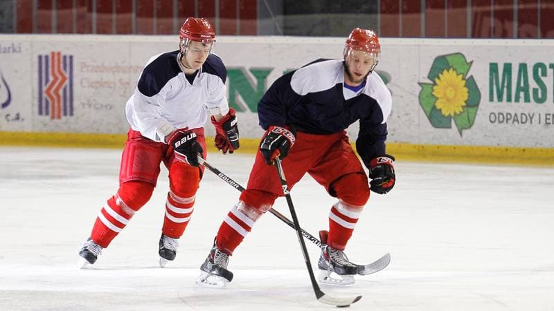 Ice Hockey. Poland national team. Training. 14.04.2025