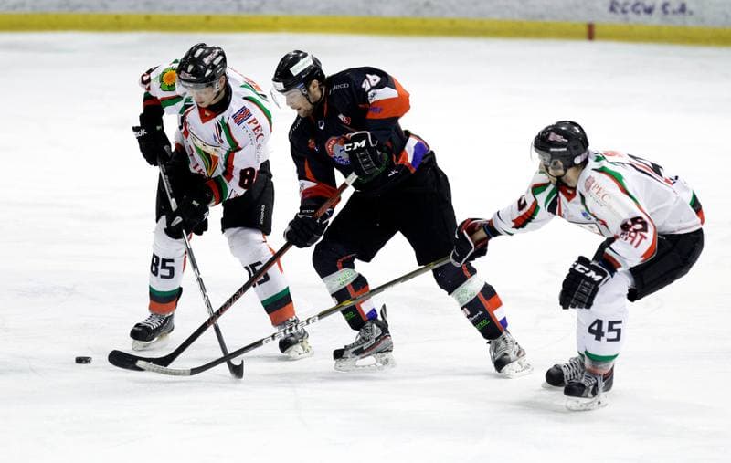 Ice Hockey. Polska Hokej Liga. GKS Tychy - Ciarko KH Sanok. 23.01.2015