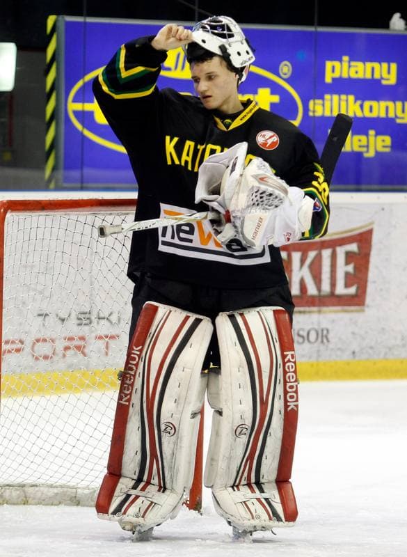 Ice Hockey. Polska Hokej Liga. GKS Tychy - HC GKS Katowice. 25.10.2013