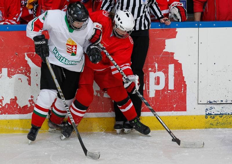 Ice Hockey. International Women's Friendly Match. Poland - Hungary. 18.01.2014