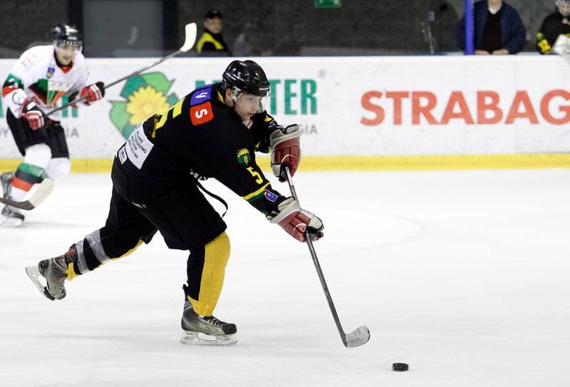 Ice Hockey. Polska Hokej Liga. GKS Tychy - HC GKS Katowice. 25.10.2013